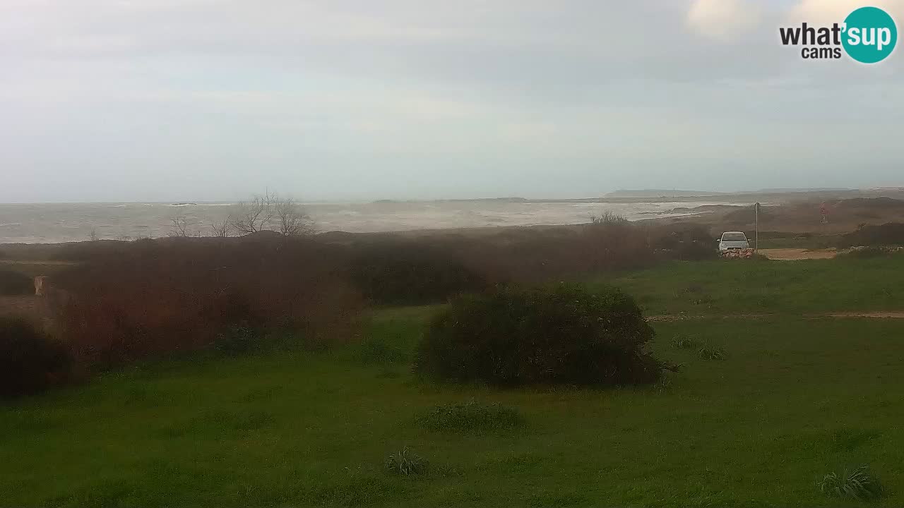 Plaža Mari Ermi | Is Arutas – Oristano