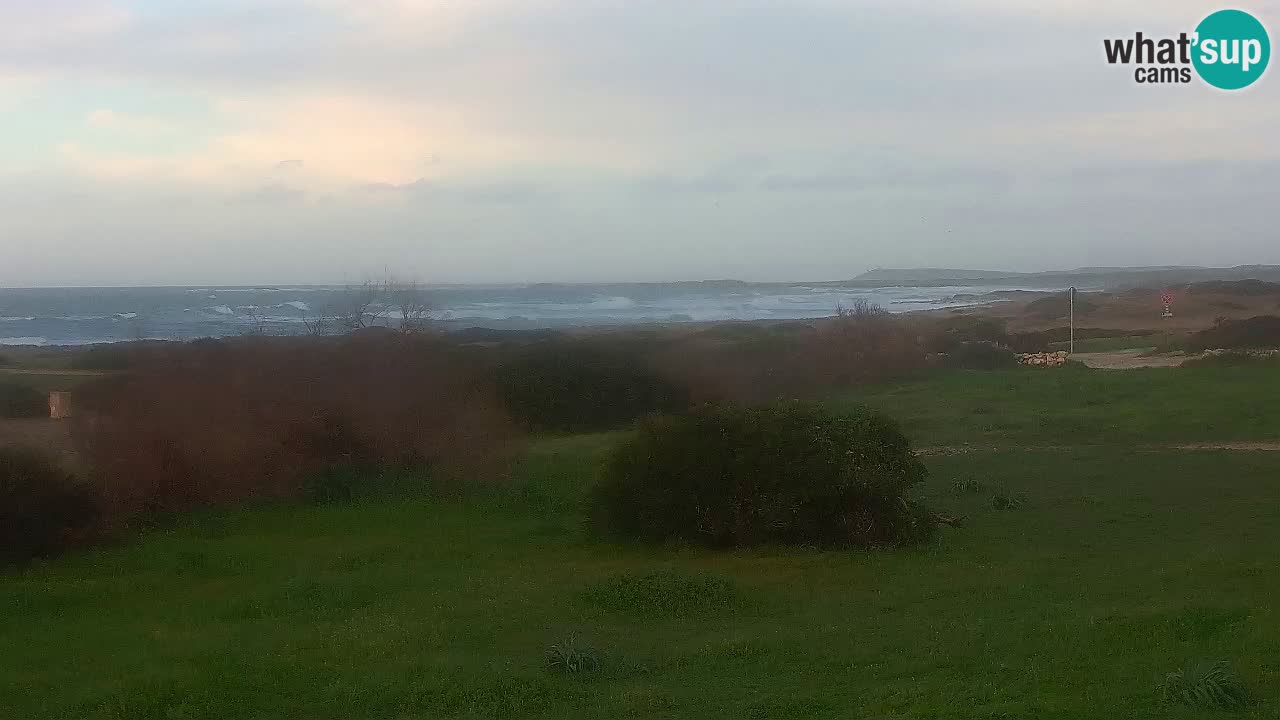 Playa Mari Ermi | Is Arutas – Oristano