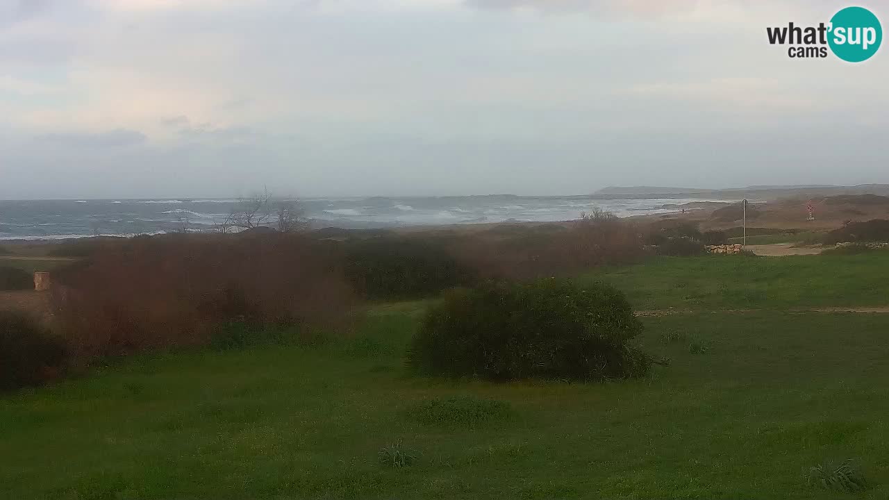 Mari Ermi Strand | Is Arutas – Oristano