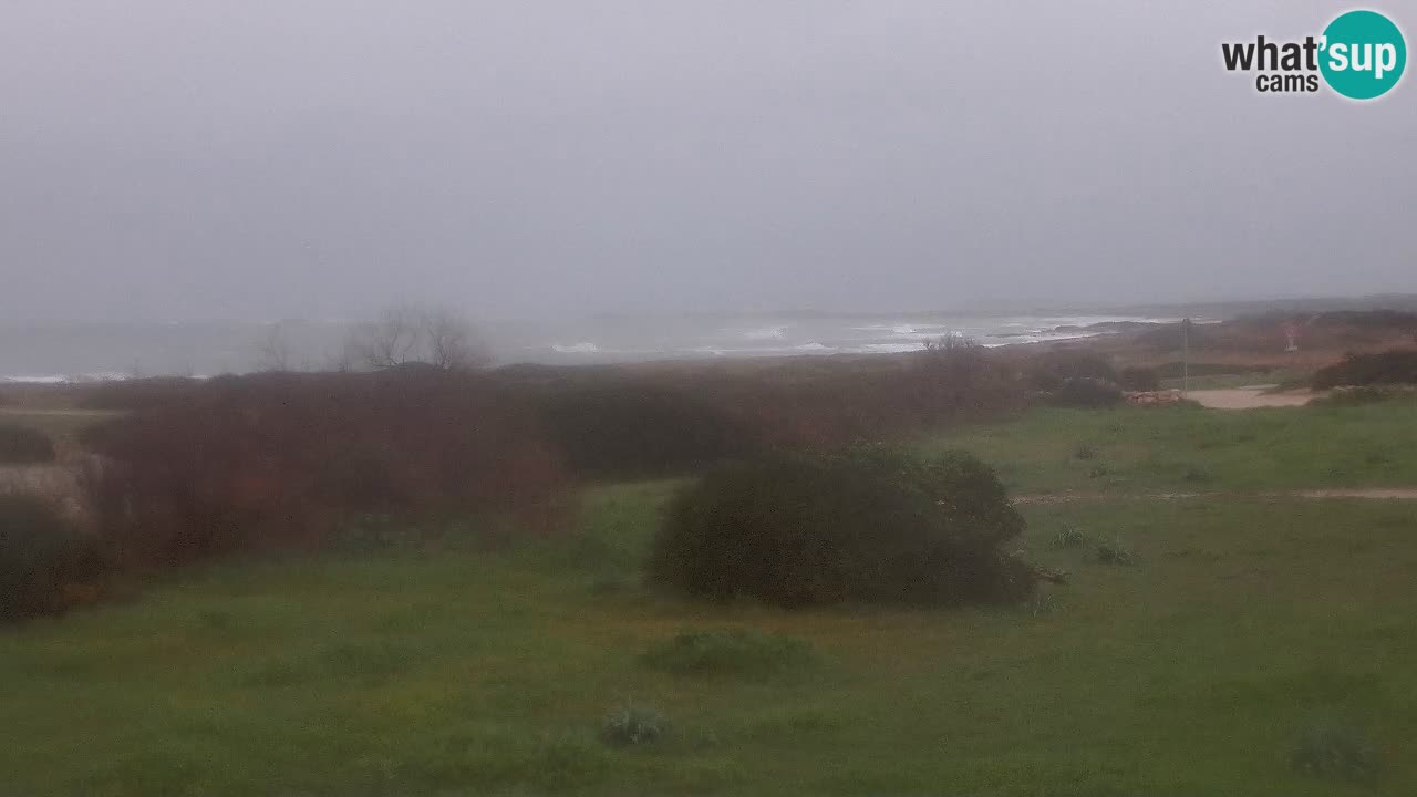 Plage Mari Ermi | Is Arutas – Oristano