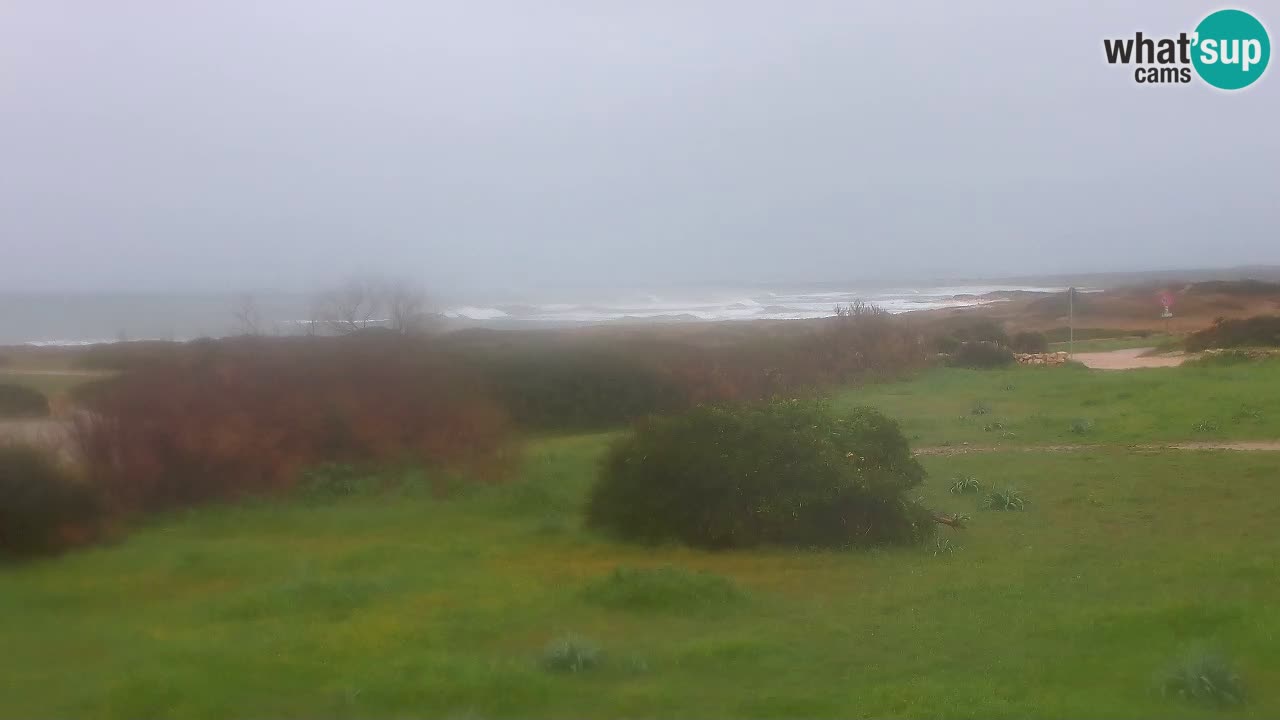 Mari Ermi Strand | Is Arutas – Oristano