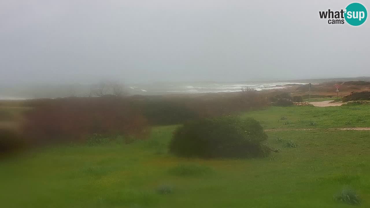 Spiaggia Mari Ermi | Is Arutas – Oristano