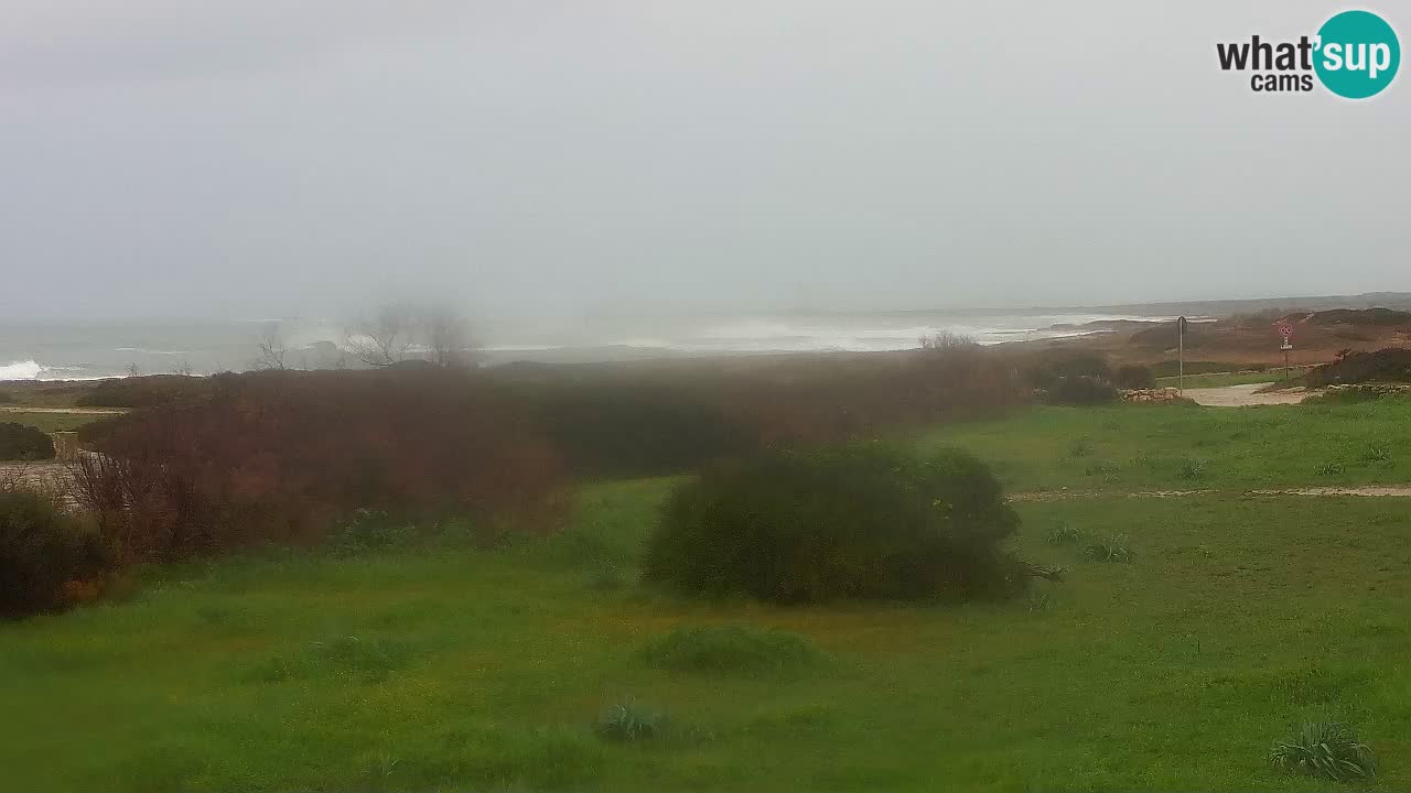 Spiaggia Mari Ermi | Is Arutas – Oristano