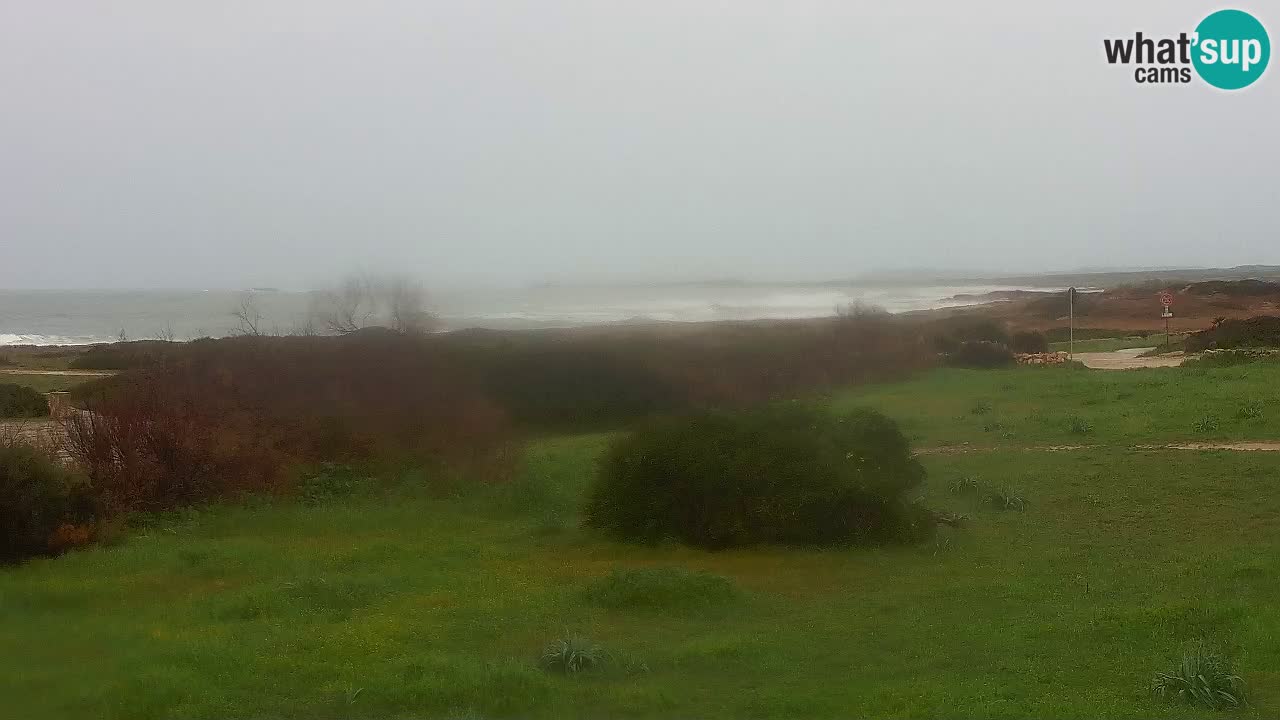 Mari Ermi Strand | Is Arutas – Oristano