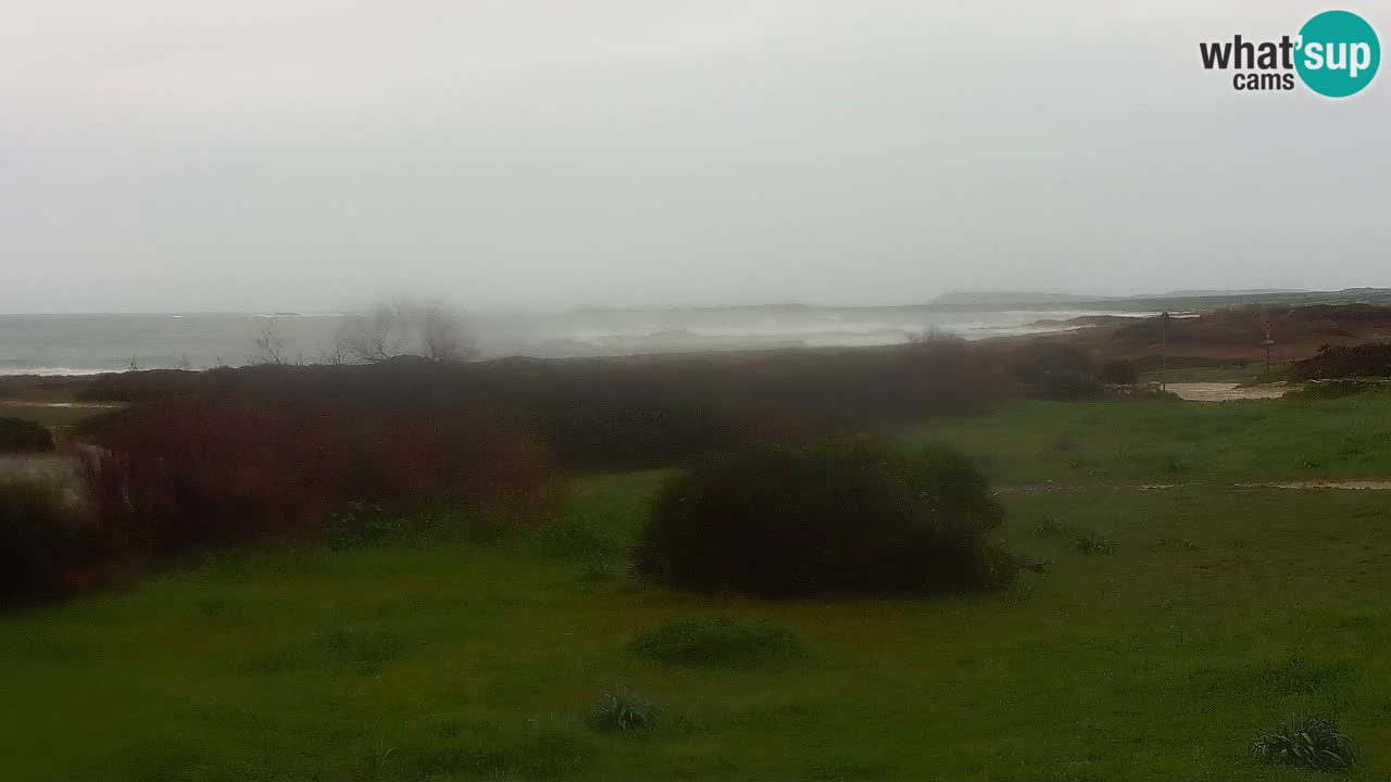 Mari Ermi Strand | Is Arutas – Oristano