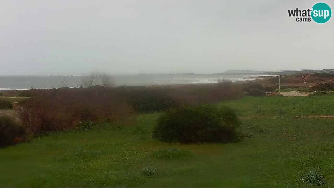 Plage Mari Ermi | Is Arutas – Oristano