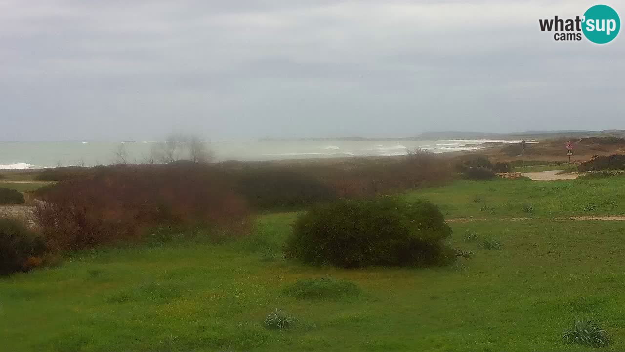 Playa Mari Ermi | Is Arutas – Oristano