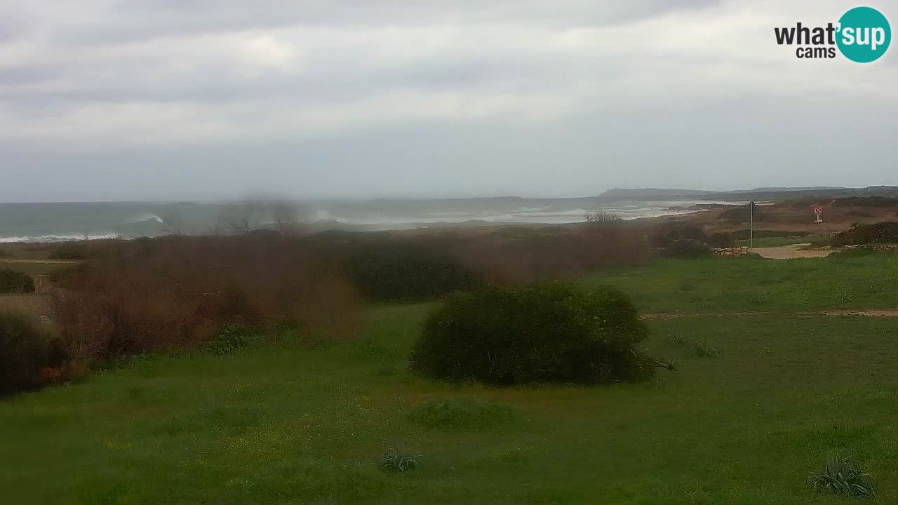 Plaža Mari Ermi | Is Arutas – Oristano