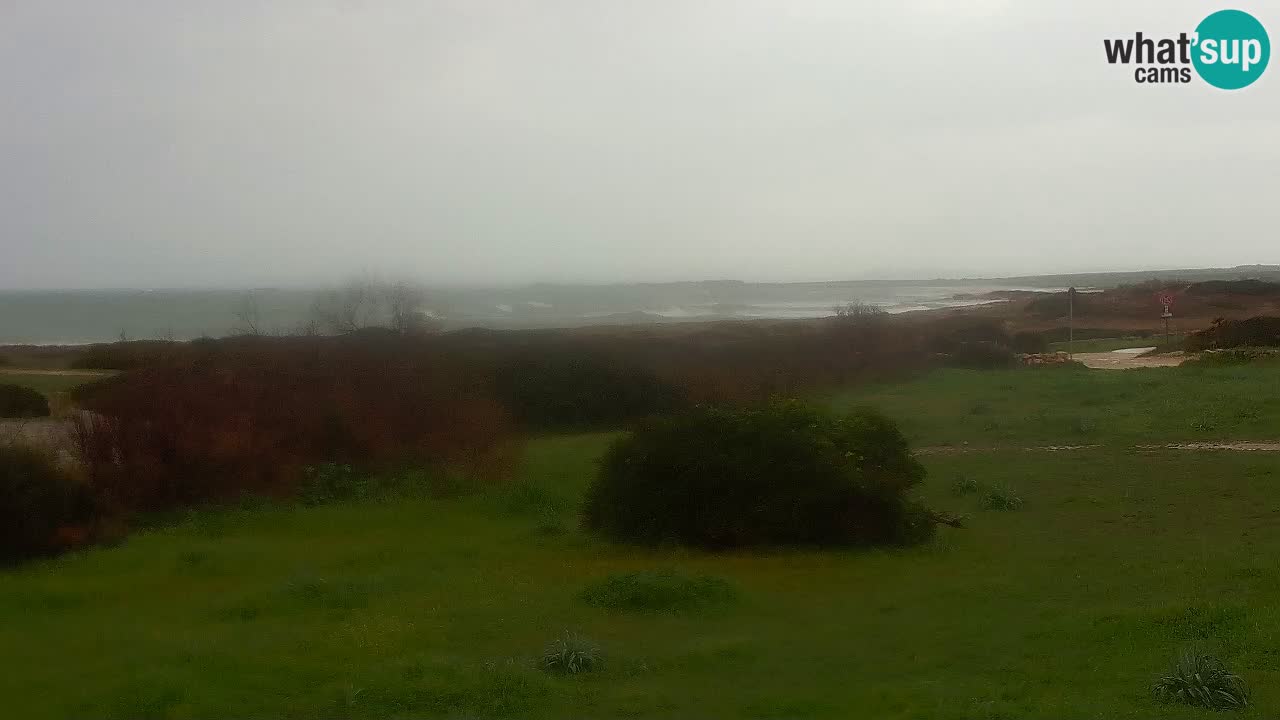 Spiaggia Mari Ermi | Is Arutas – Oristano