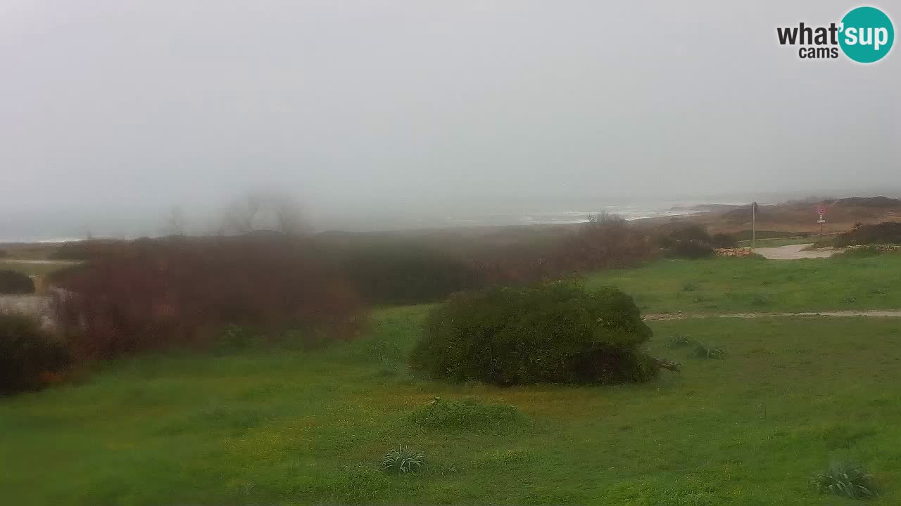 Playa Mari Ermi | Is Arutas – Oristano