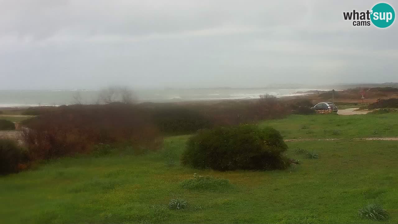 Playa Mari Ermi | Is Arutas – Oristano