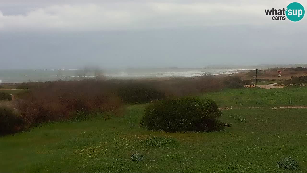 Plage Mari Ermi | Is Arutas – Oristano