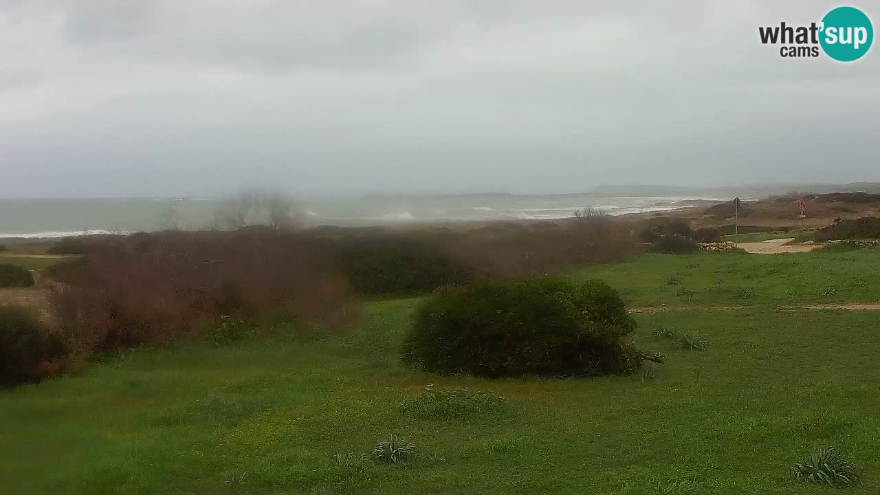 Mari Ermi Strand | Is Arutas – Oristano