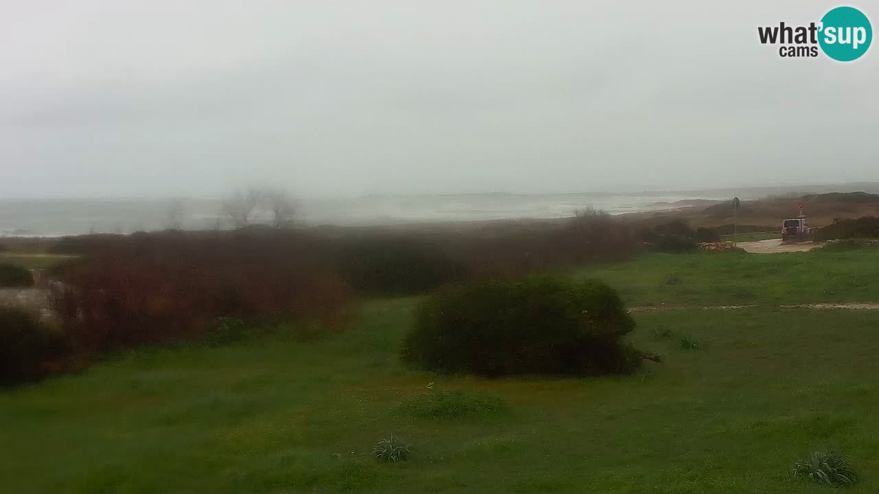 Mari Ermi Strand | Is Arutas – Oristano