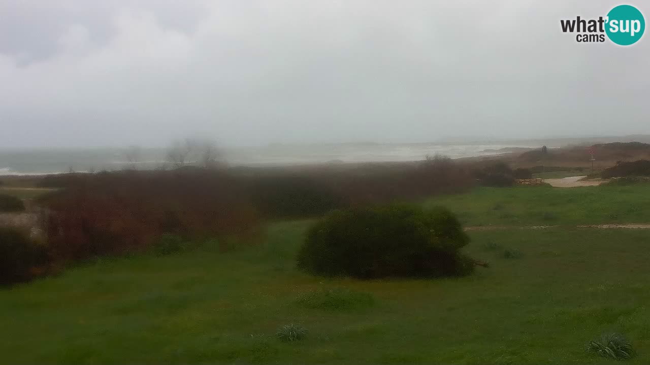 Plaža Mari Ermi | Is Arutas – Oristano