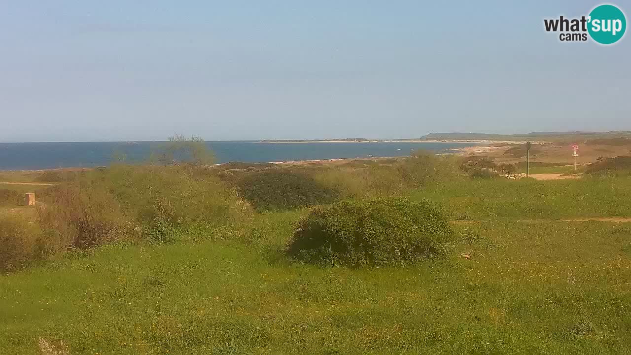 Mari Ermi beach | Is Arutas – Oristano