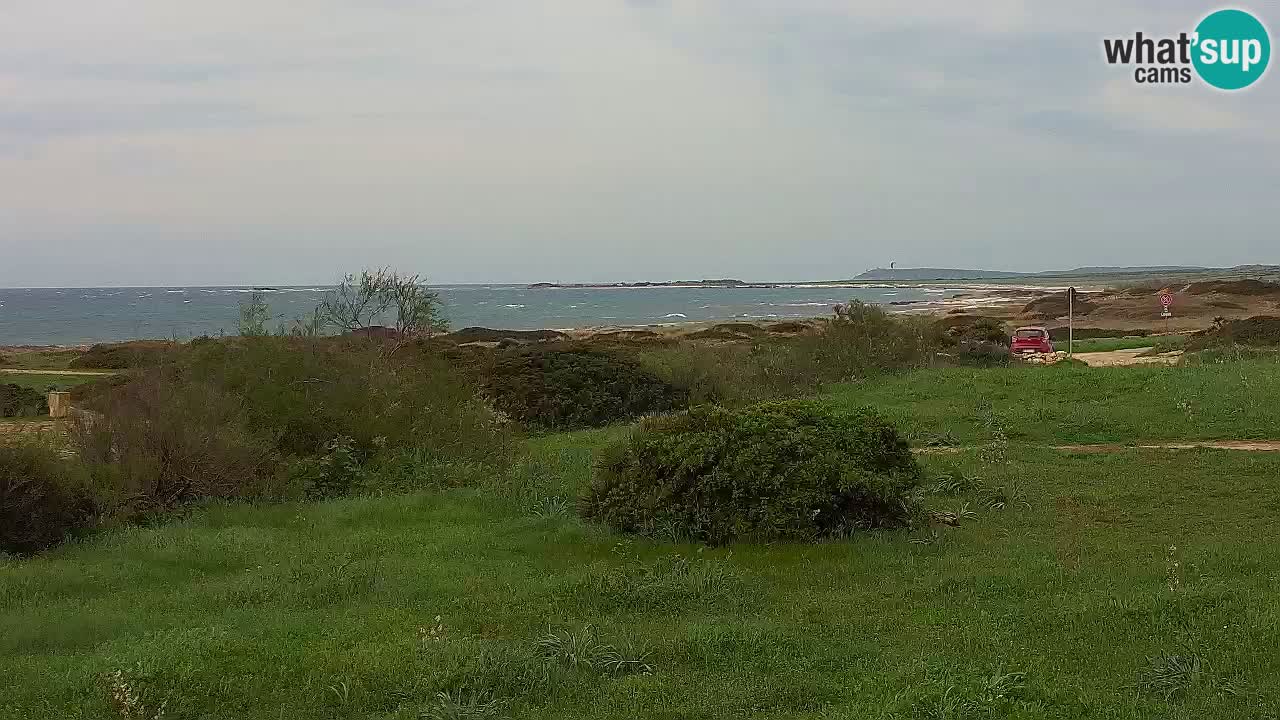 Plaža Mari Ermi | Is Arutas – Oristano