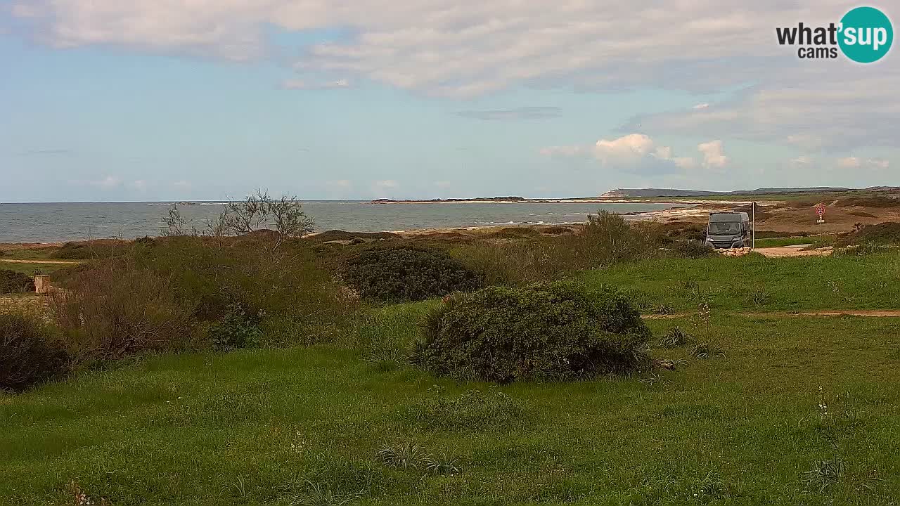Playa Mari Ermi | Is Arutas – Oristano