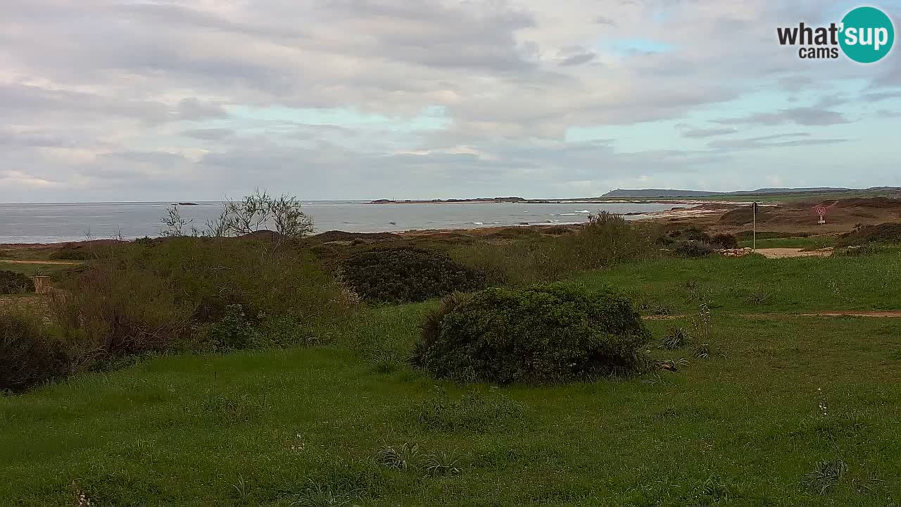 Plaža Mari Ermi | Is Arutas – Oristano