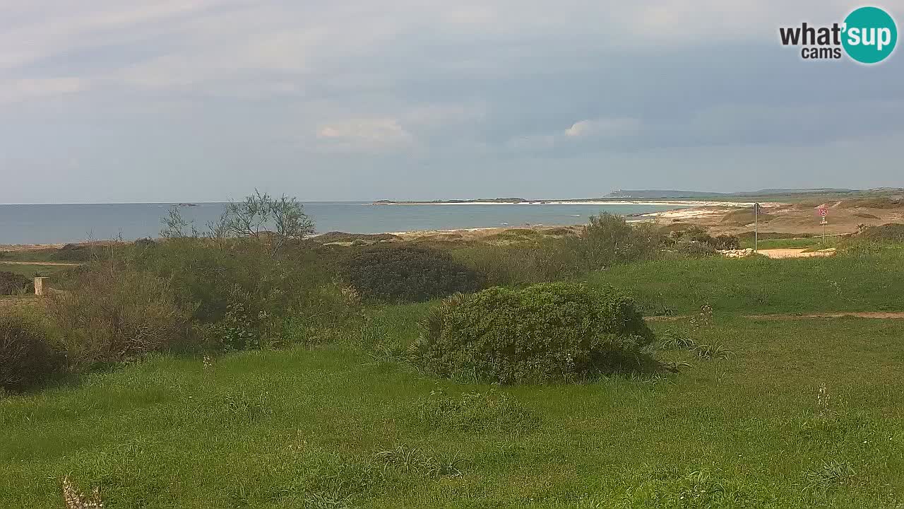 Mari Ermi beach | Is Arutas – Oristano