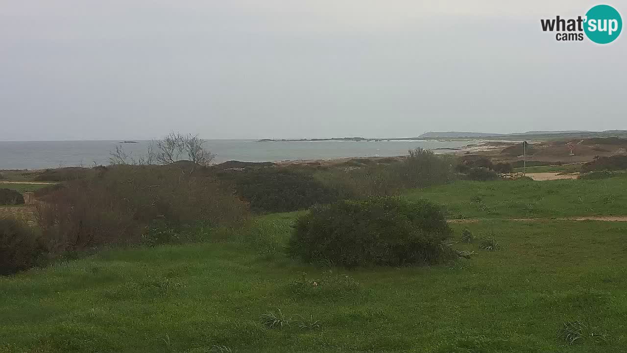 Mari Ermi beach | Is Arutas – Oristano