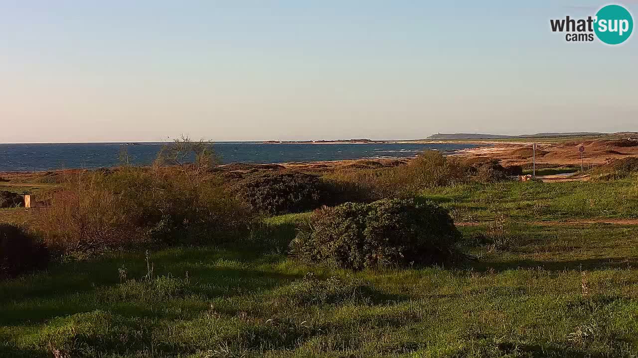 Mari Ermi Strand | Is Arutas – Oristano