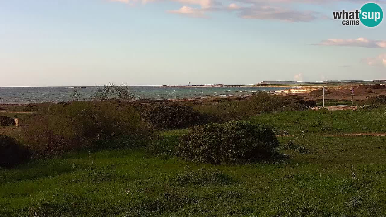 Playa Mari Ermi | Is Arutas – Oristano