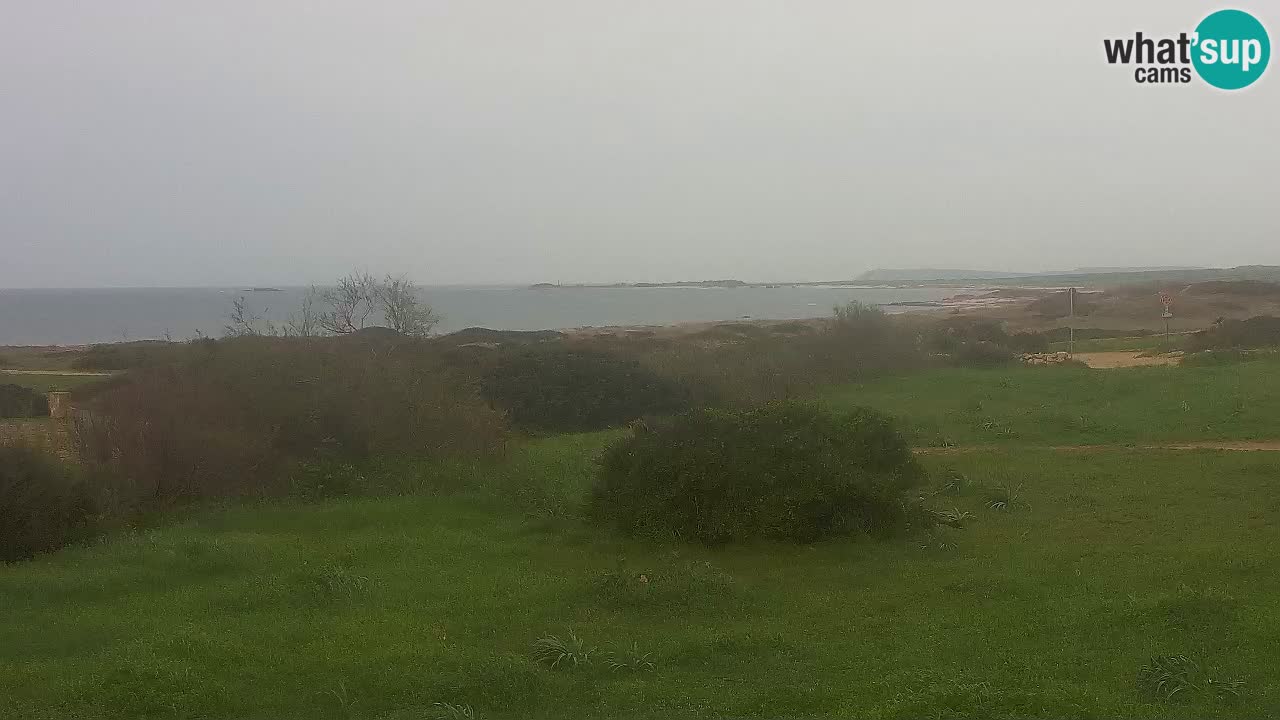 Plaža Mari Ermi | Is Arutas – Oristano