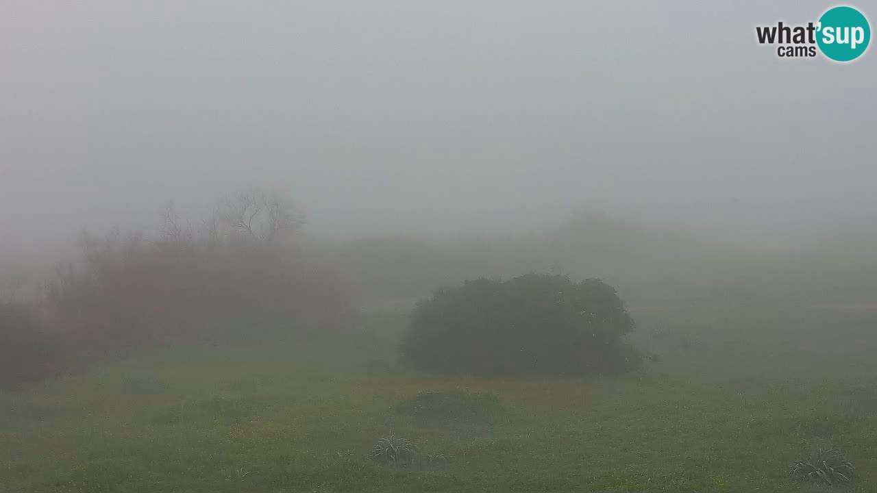 Plaža Mari Ermi | Is Arutas – Oristano