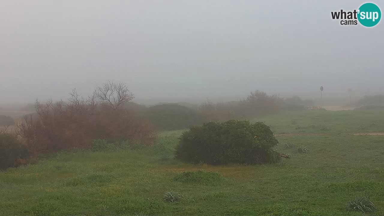 Playa Mari Ermi | Is Arutas – Oristano