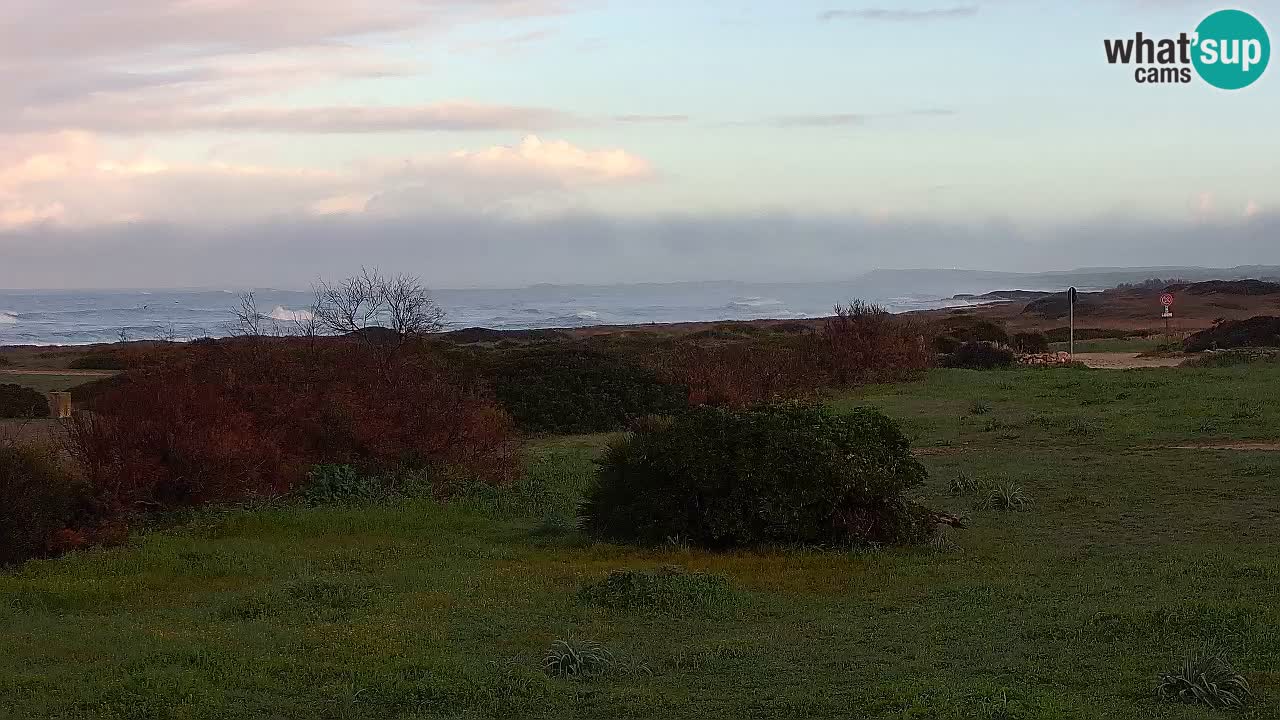 Plaža Mari Ermi | Is Arutas – Oristano