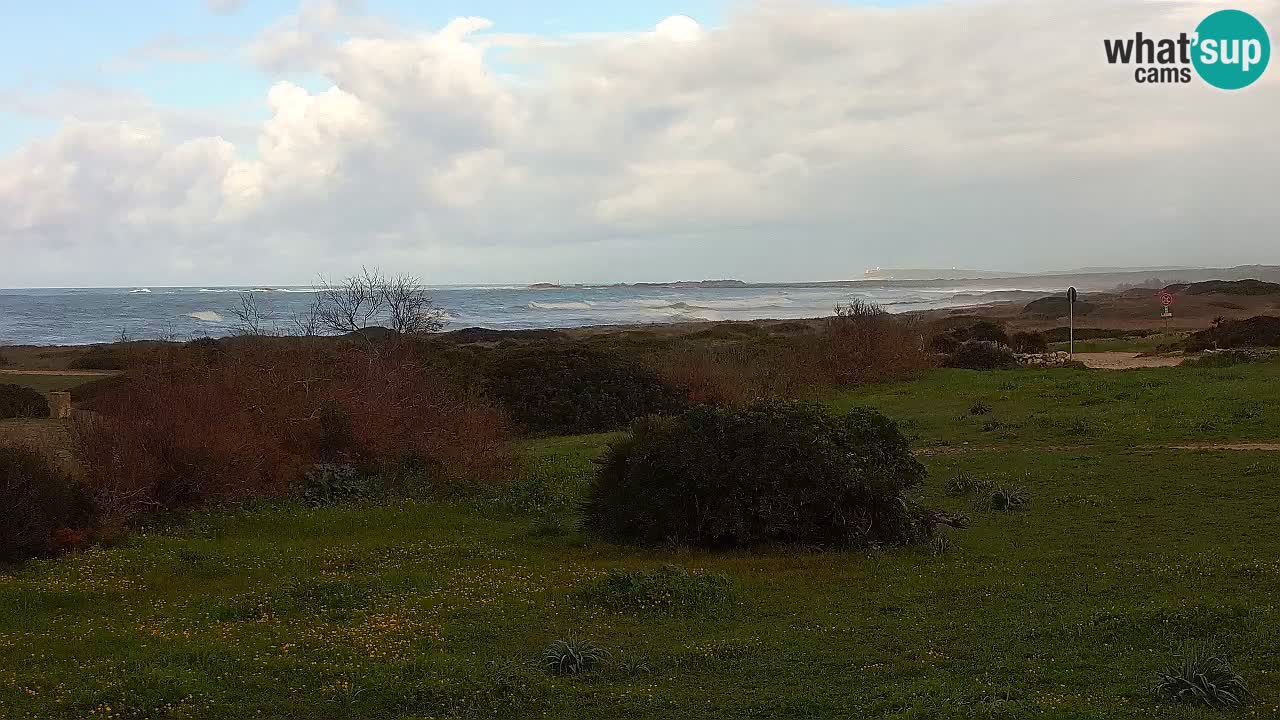 Plaža Mari Ermi | Is Arutas – Oristano