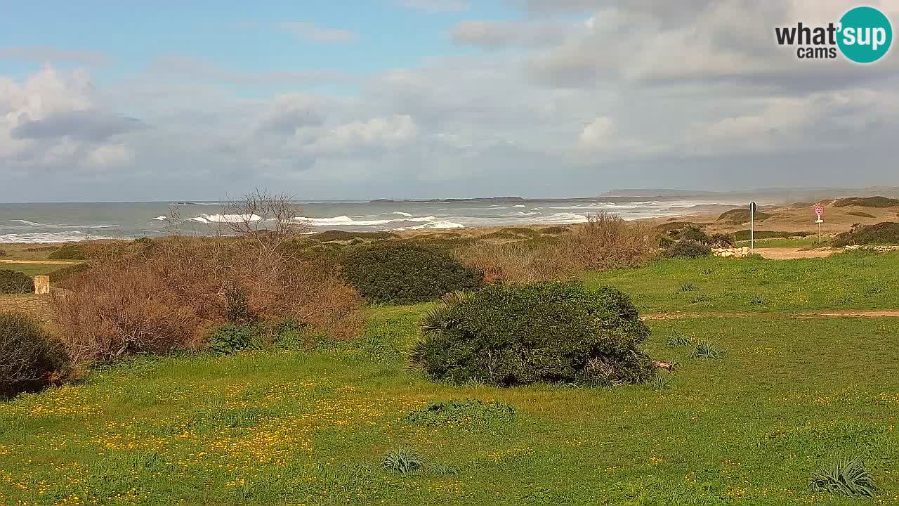 Spiaggia Mari Ermi | Is Arutas – Oristano