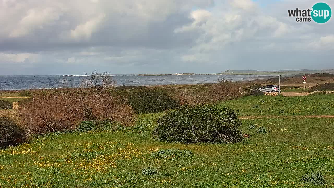 Spiaggia Mari Ermi | Is Arutas – Oristano