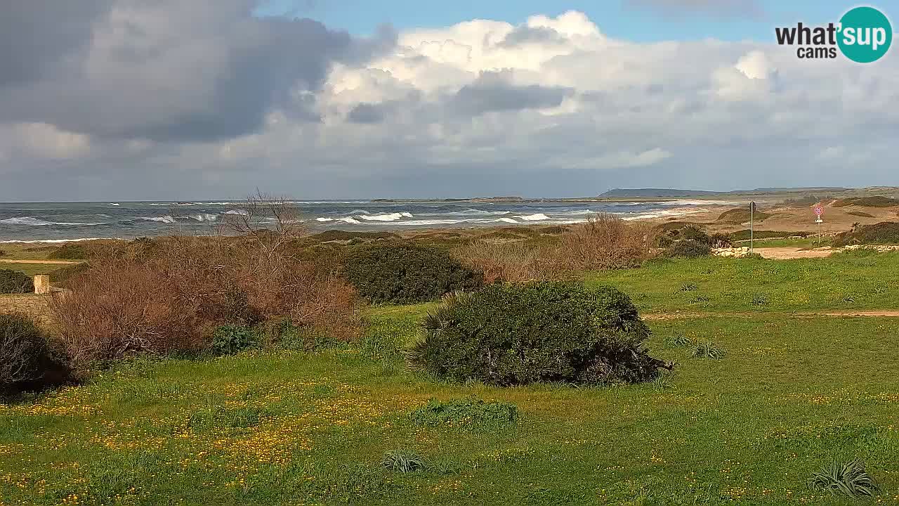 Spiaggia Mari Ermi | Is Arutas – Oristano
