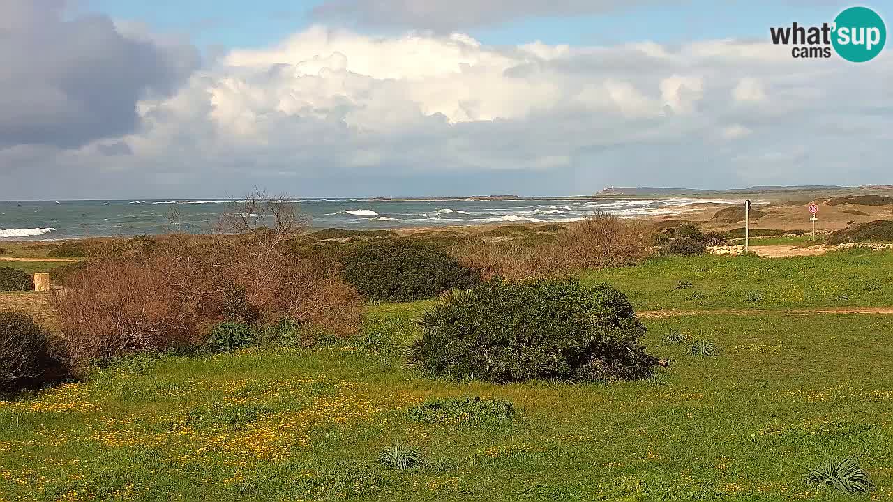 Spiaggia Mari Ermi | Is Arutas – Oristano
