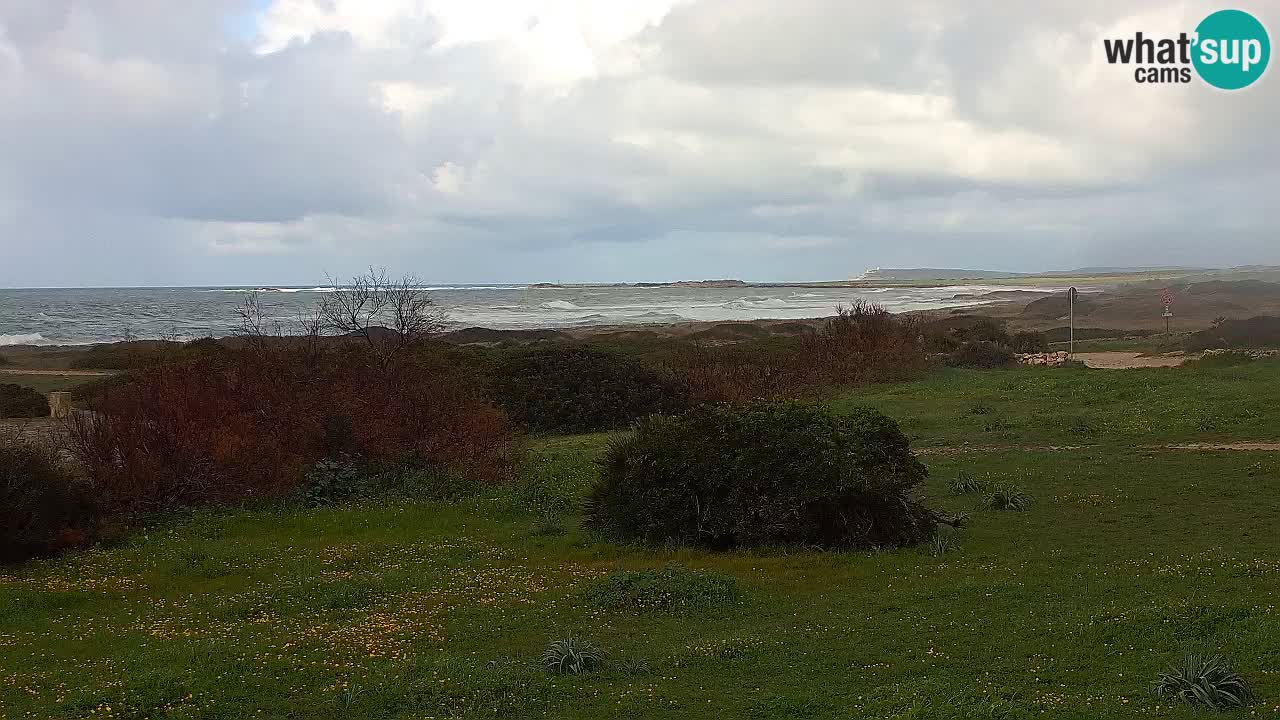 Playa Mari Ermi | Is Arutas – Oristano