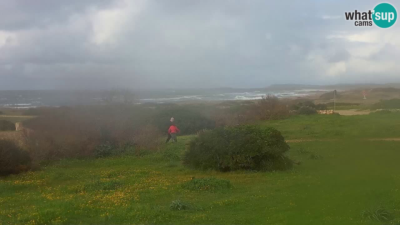 Spiaggia Mari Ermi | Is Arutas – Oristano