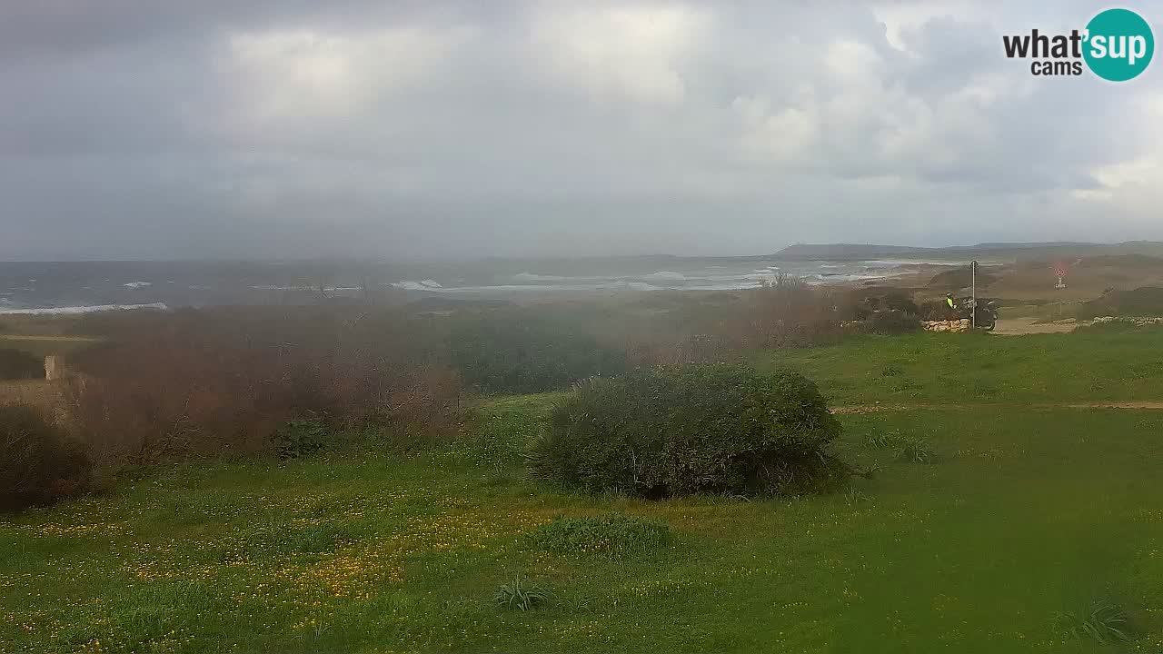 Spiaggia Mari Ermi | Is Arutas – Oristano