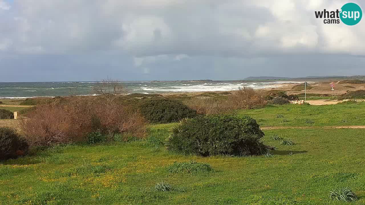 Playa Mari Ermi | Is Arutas – Oristano