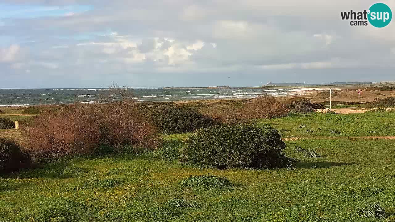 Playa Mari Ermi | Is Arutas – Oristano