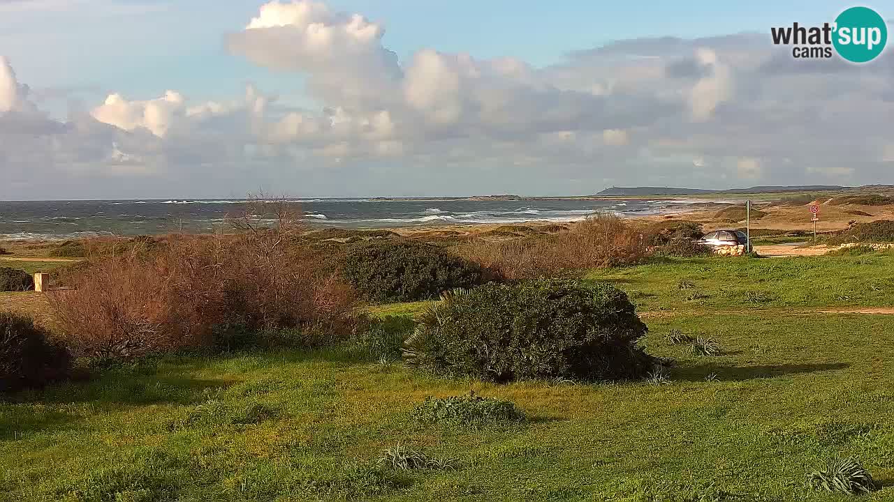 Playa Mari Ermi | Is Arutas – Oristano