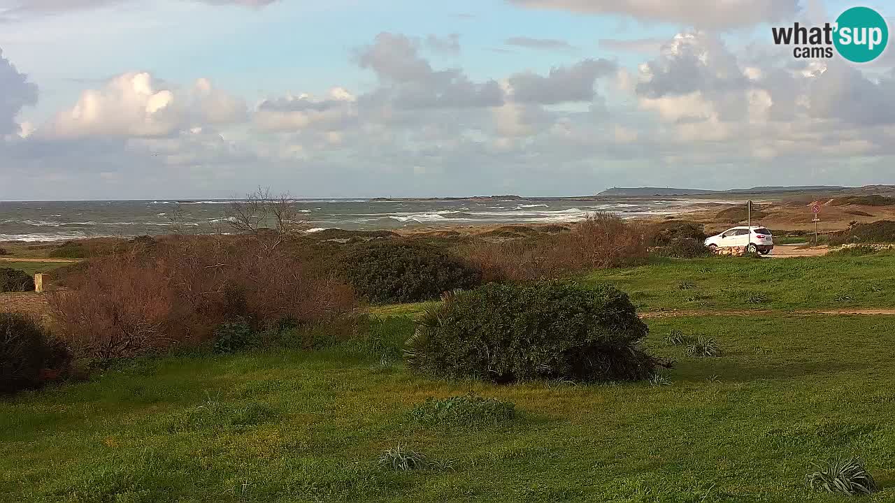 Mari Ermi Strand | Is Arutas – Oristano