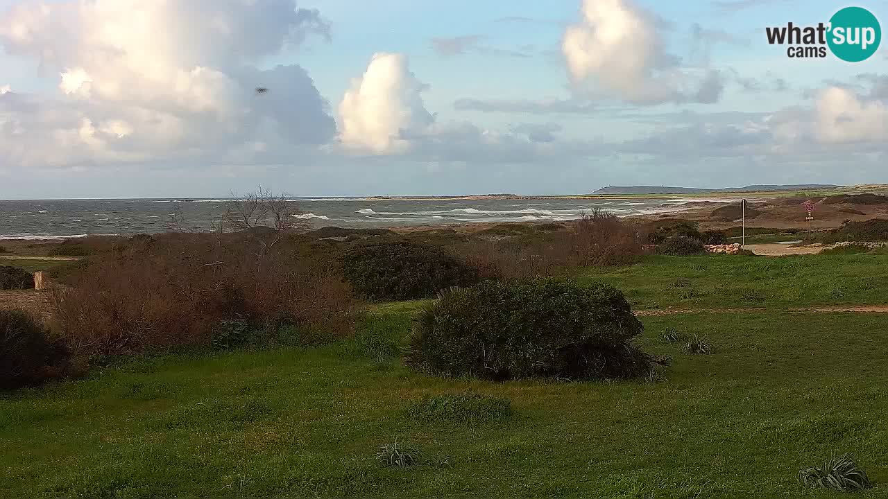 Mari Ermi Strand | Is Arutas – Oristano
