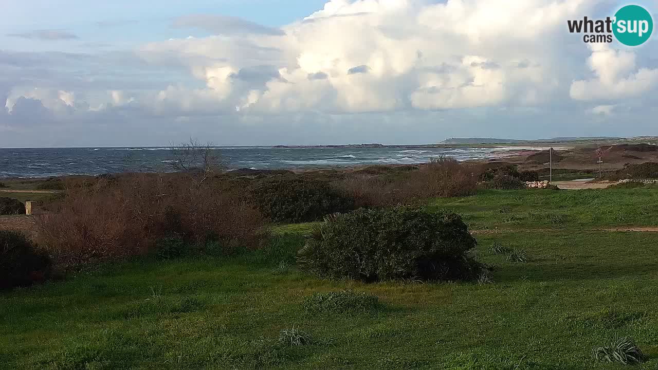 Plage Mari Ermi | Is Arutas – Oristano