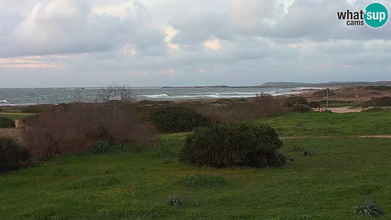 Playa Mari Ermi | Is Arutas – Oristano