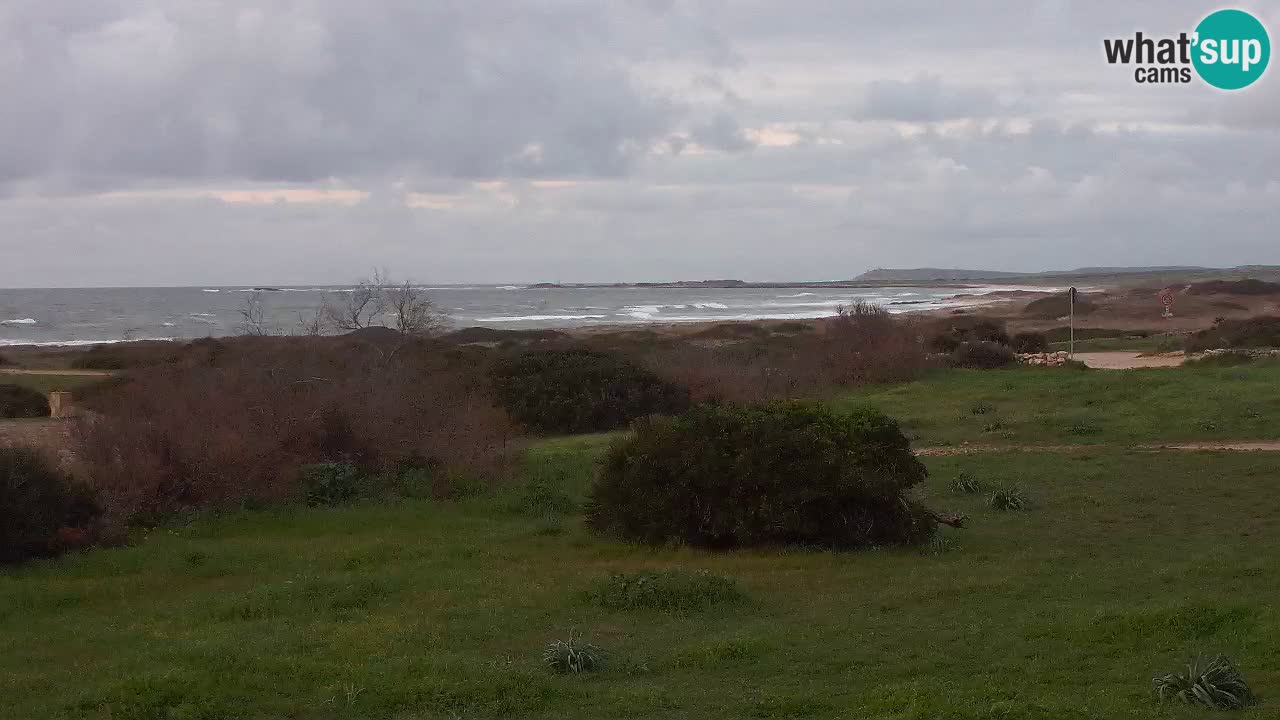 Mari Ermi beach | Is Arutas – Oristano