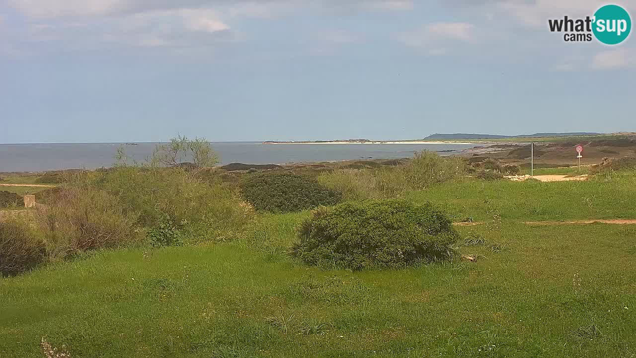 Mari Ermi Strand | Is Arutas – Oristano