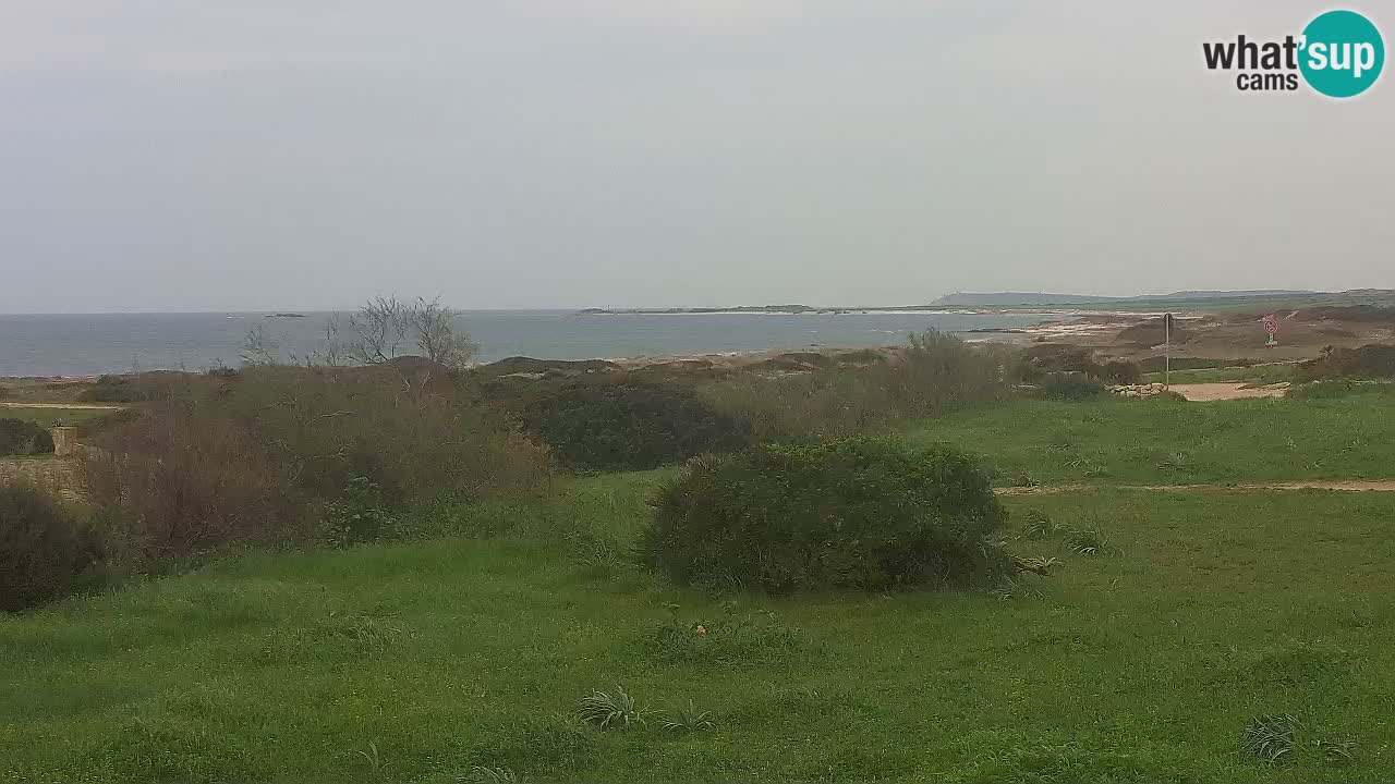 Plaža Mari Ermi | Is Arutas – Oristano