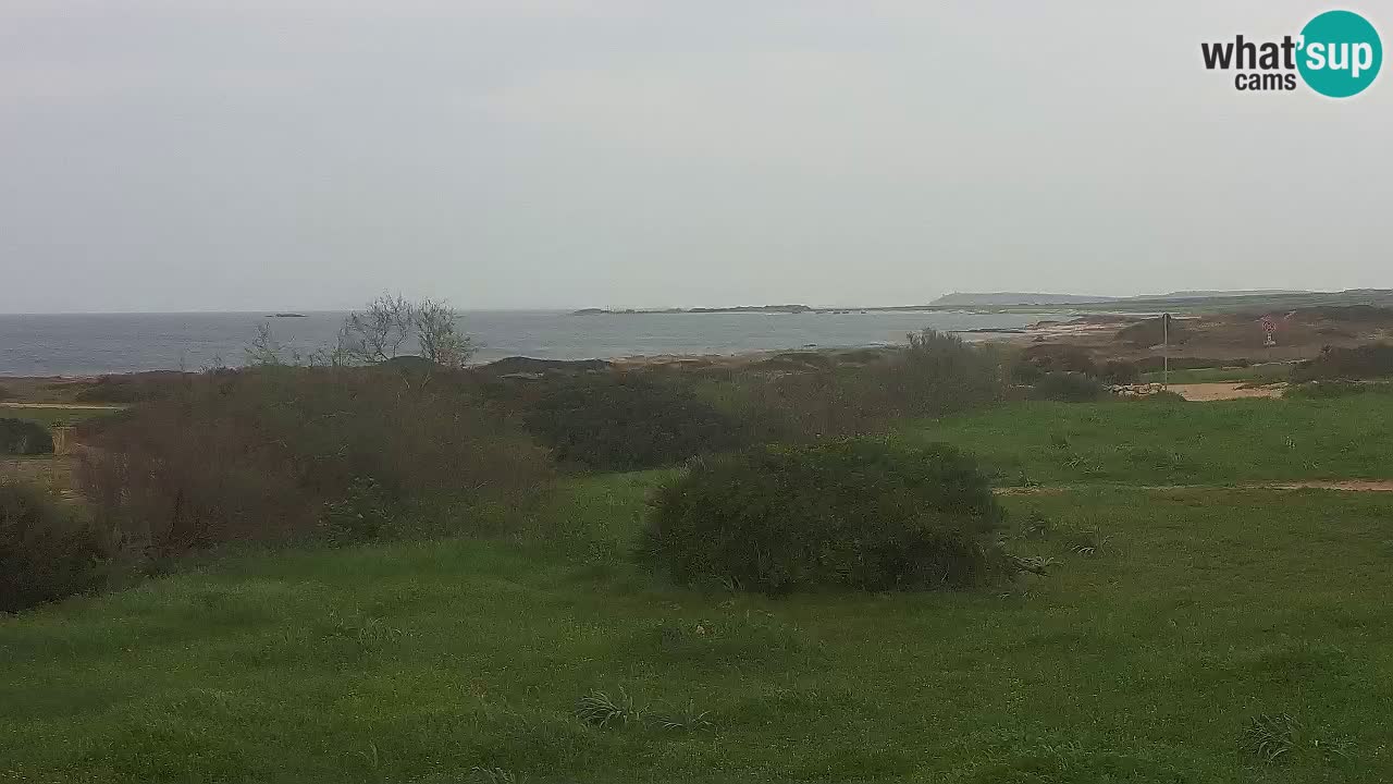 Mari Ermi beach | Is Arutas – Oristano